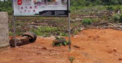 Light Gate Estate, Epe Main Town