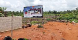 Light Gate Estate, Epe Main Town