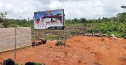 Light Gate Estate, Epe Main Town