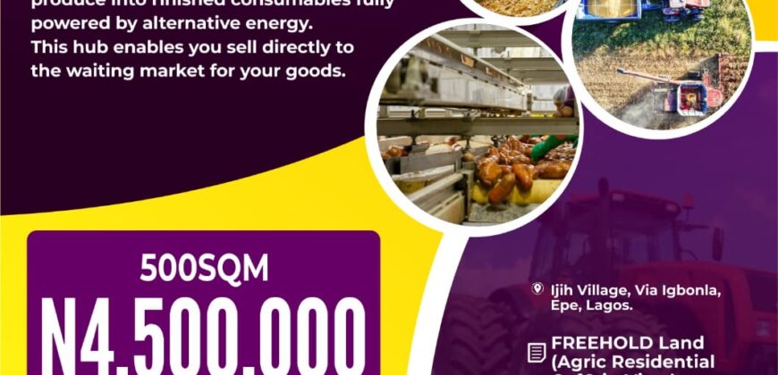 Light Farm Village (FACTORY PLOT)