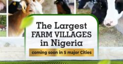 Light Farm Village (FACTORY PLOT)